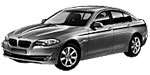 BMW F10 P156D Fault Code